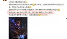 24冠军套最新爆料,揭秘神秘英雄与战术革新！